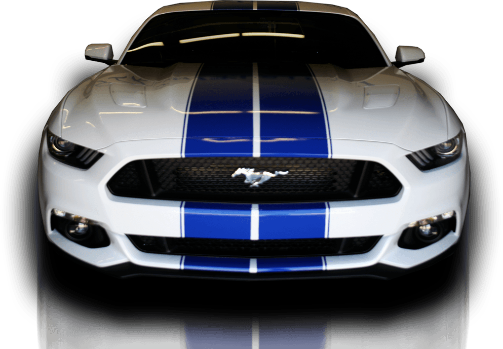 front view of mustang